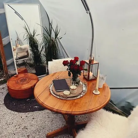 Shepherds Hut With Alpaca Views Westbourne  Exterior photo