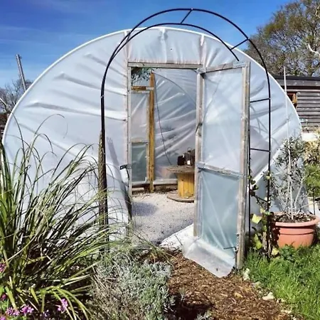 Shepherds Hut With Alpaca Views Westbourne  Exterior photo