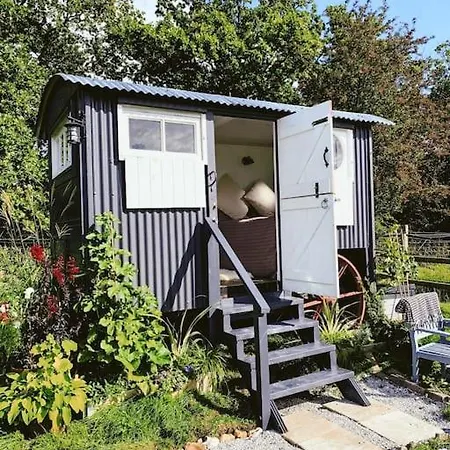 Shepherds Hut With Alpaca Views Westbourne  Exterior photo