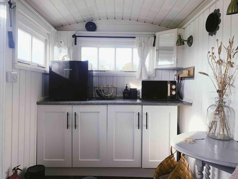 Shepherds Hut With Alpaca Views Holiday home Westbourne (Hampshire)