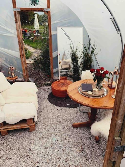 Holiday home Shepherds Hut With Alpaca Views *