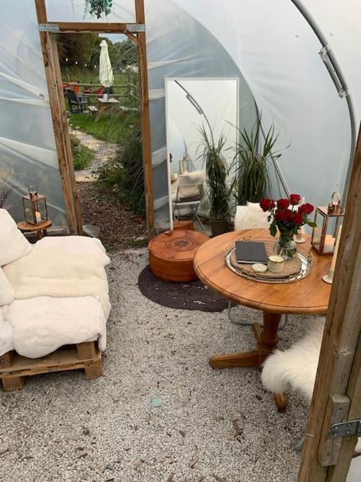 Shepherds Hut With Alpaca Views