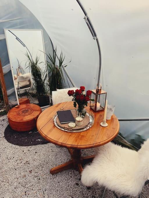 Shepherds Hut With Alpaca Views Holiday home Westbourne (Hampshire)