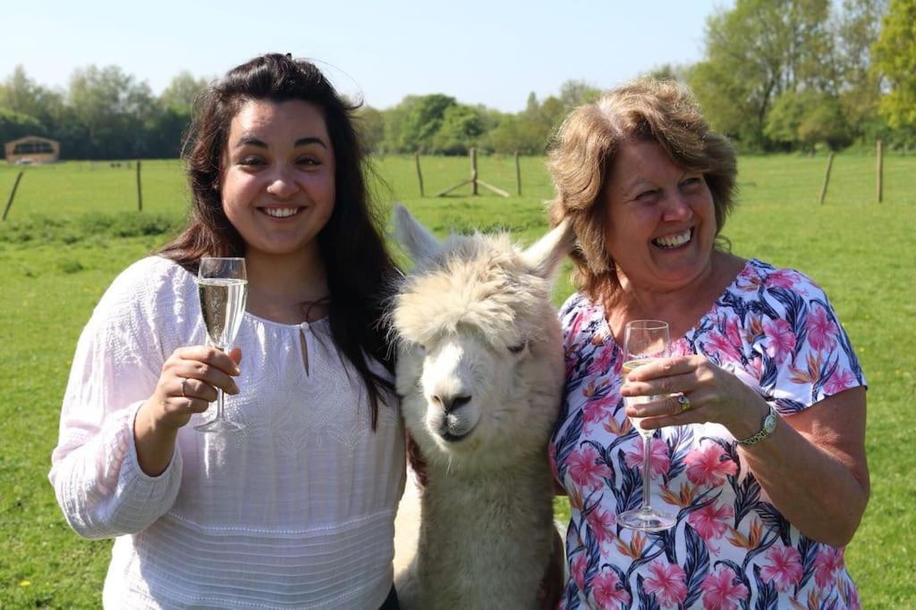 Shepherds Hut With Alpaca Views * Westbourne (Hampshire)