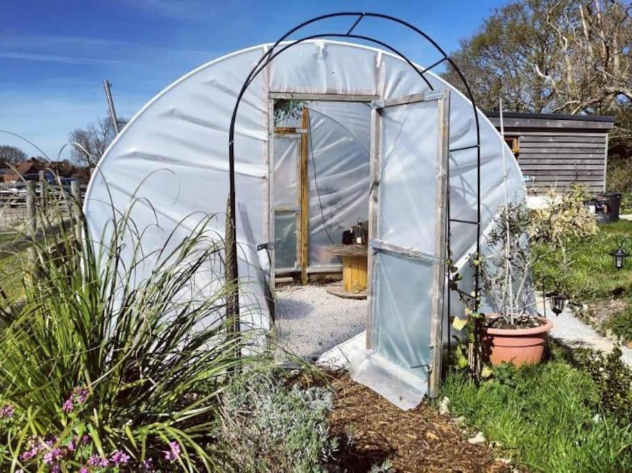 Shepherds Hut With Alpaca Views Westbourne (Hampshire)