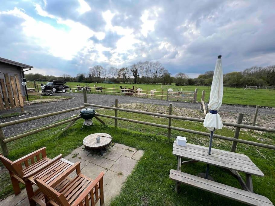 Shepherds Hut With Alpaca Views