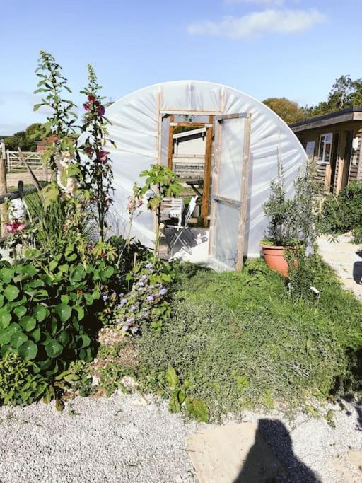 Shepherds Hut With Alpaca Views Holiday home Westbourne (Hampshire)