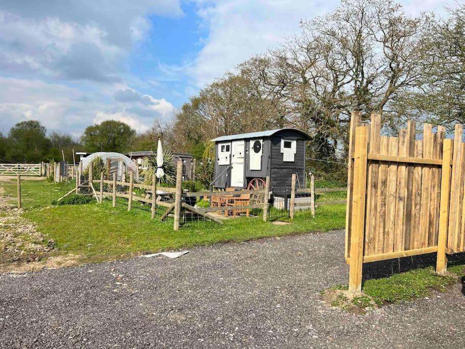 Shepherds Hut With Alpaca Views Westbourne (Hampshire)